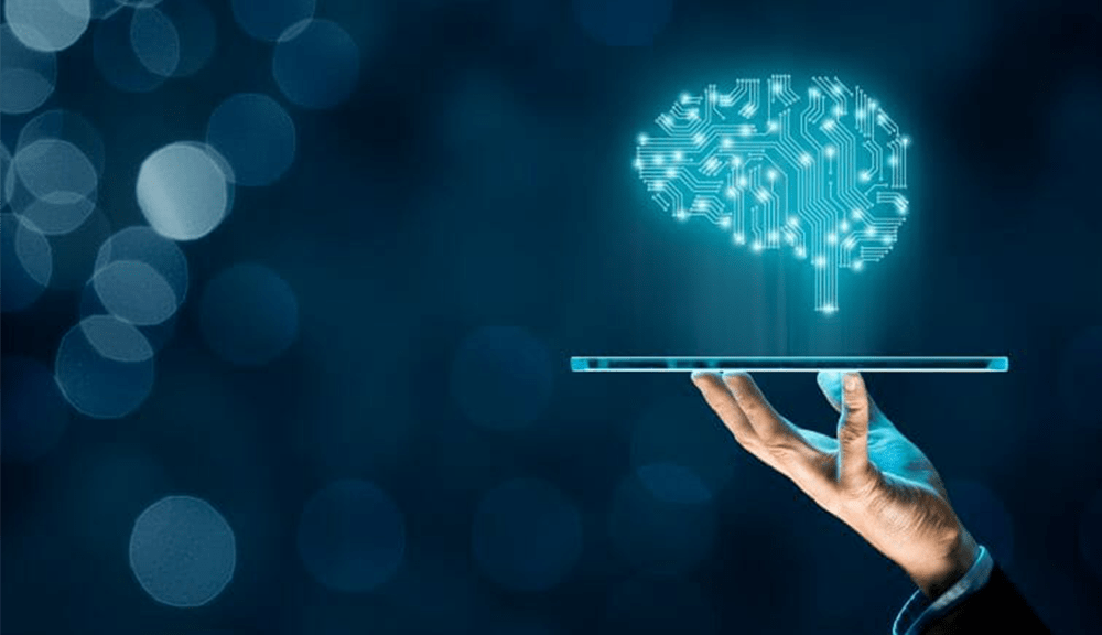 Os Dados Falam — Aprenda a Ouvi-los